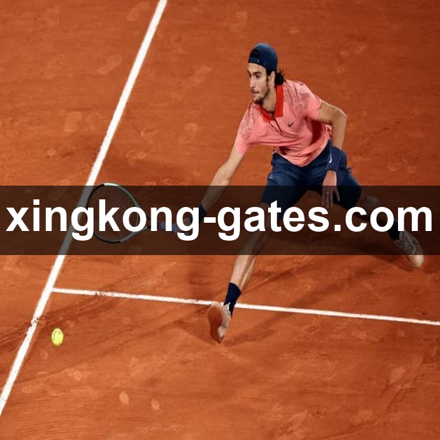 星空体育 客户端图